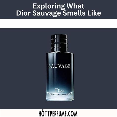 dior clon|what smells like dior sauvage.